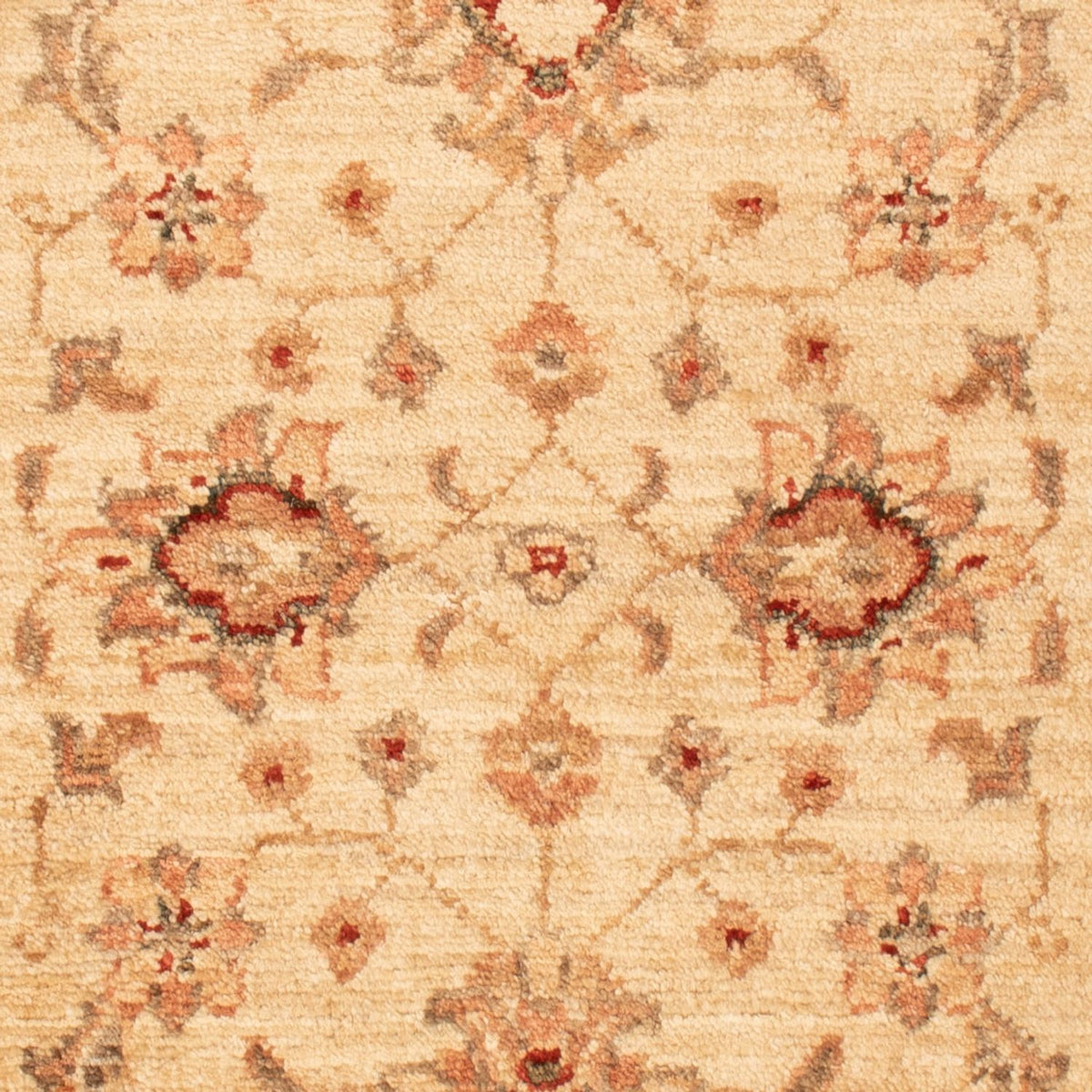 Ziegler tapijt - 90 x 60 cm - beige