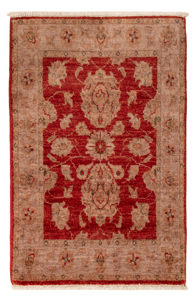 Ziegler tapijt - 88 x 59 cm - rood