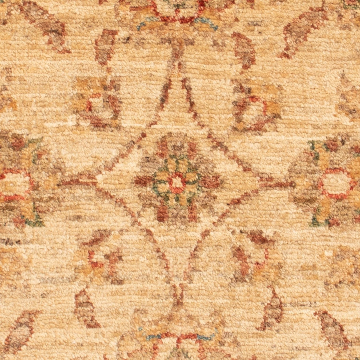 Ziegler tapijt - 70 x 50 cm - beige