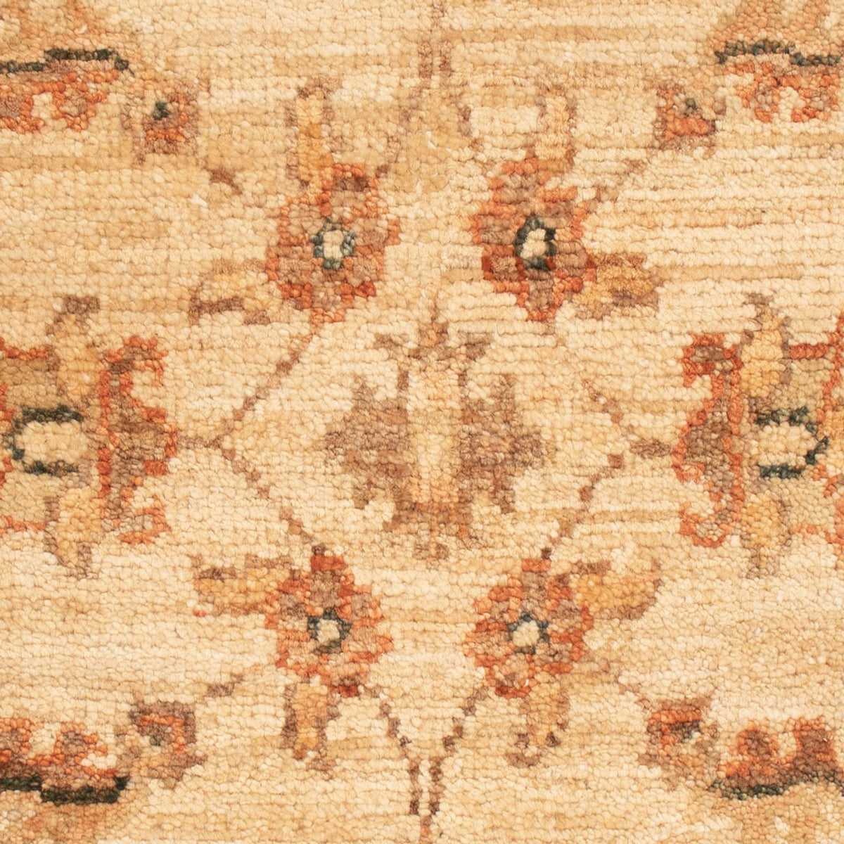 Ziegler tapijt - 68 x 50 cm - beige