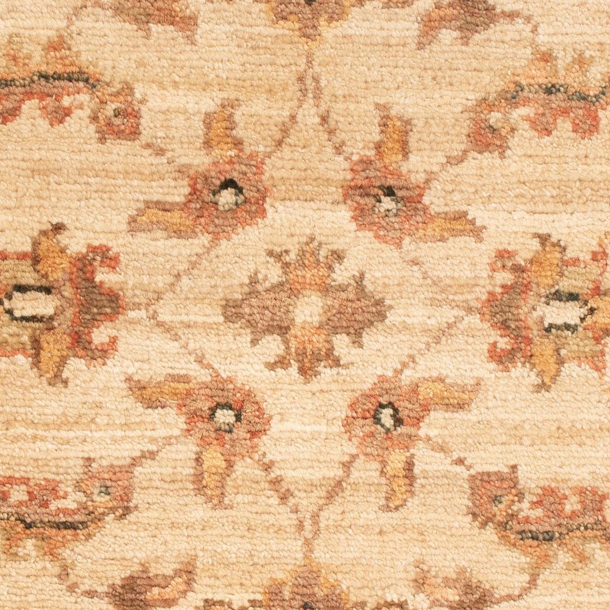 Ziegler tapijt - 66 x 50 cm - beige