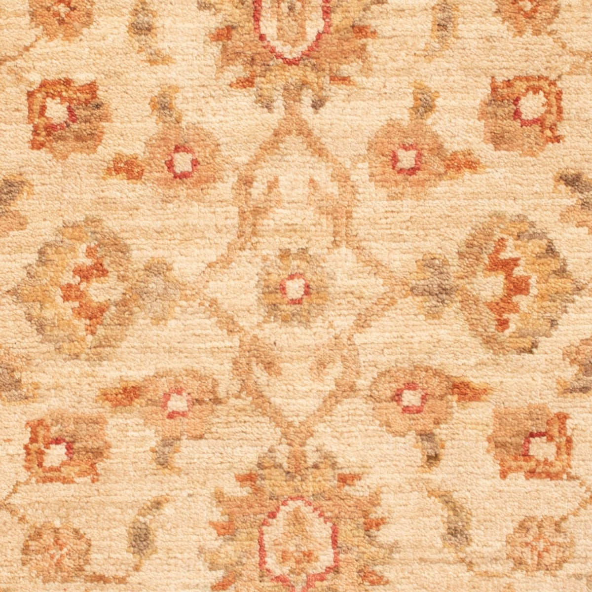 Ziegler tapijt - 88 x 60 cm - beige