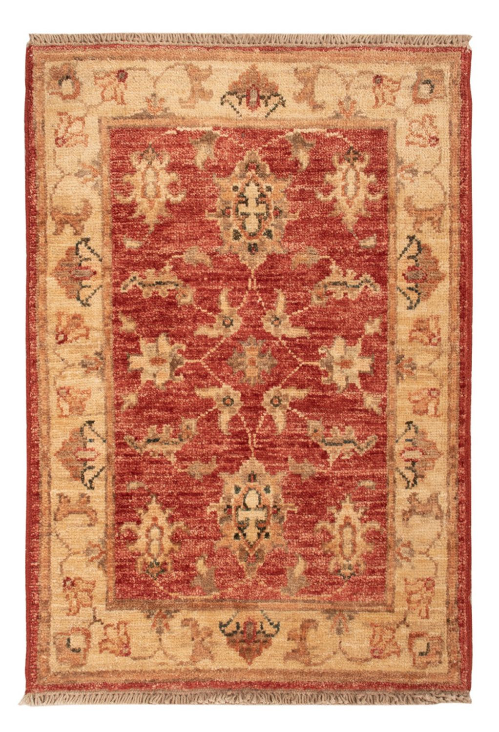 Ziegler tapijt - 74 x 50 cm - rood
