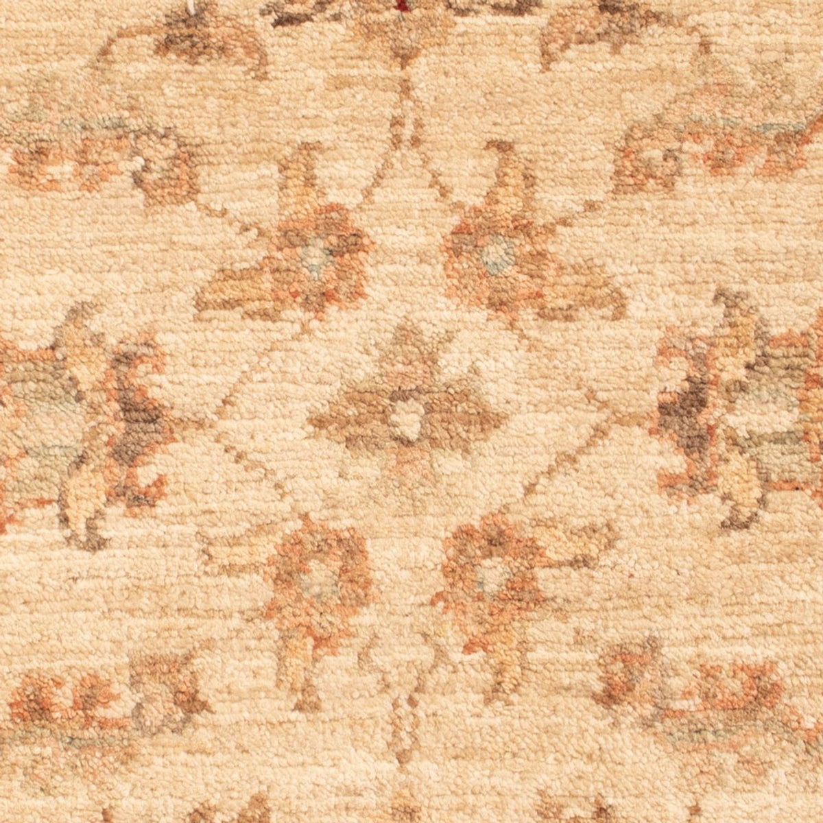 Ziegler tapijt - 70 x 51 cm - beige
