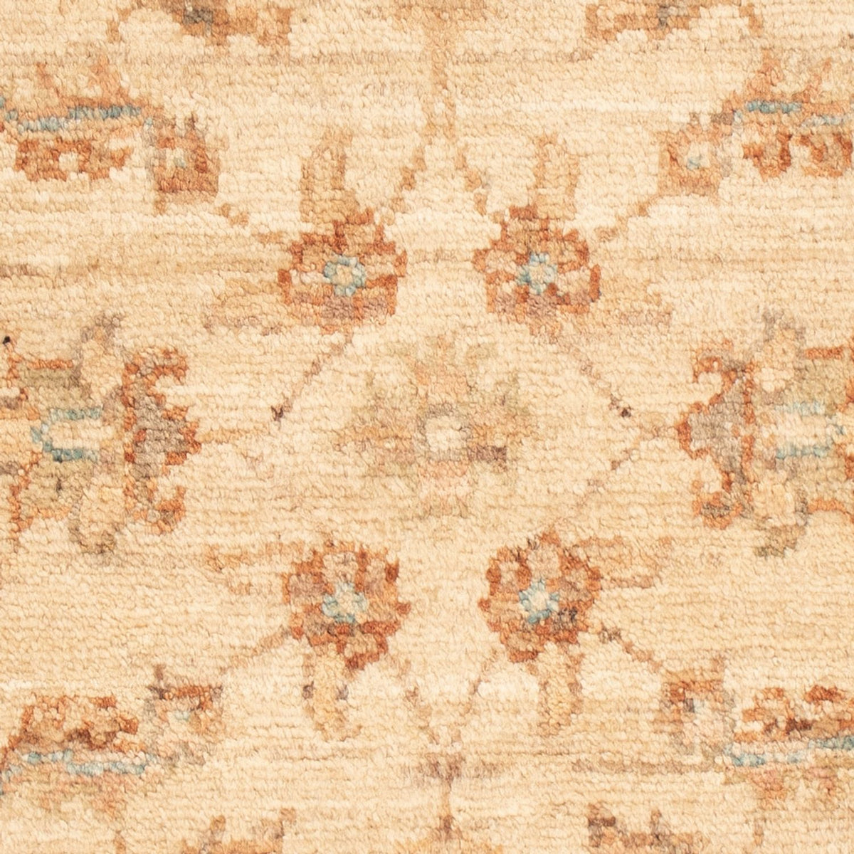 Ziegler tapijt - 69 x 50 cm - beige