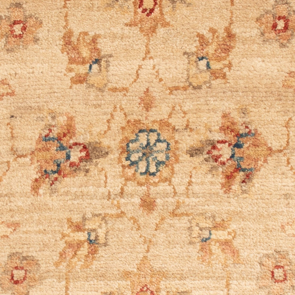 Ziegler tapijt - 76 x 50 cm - beige