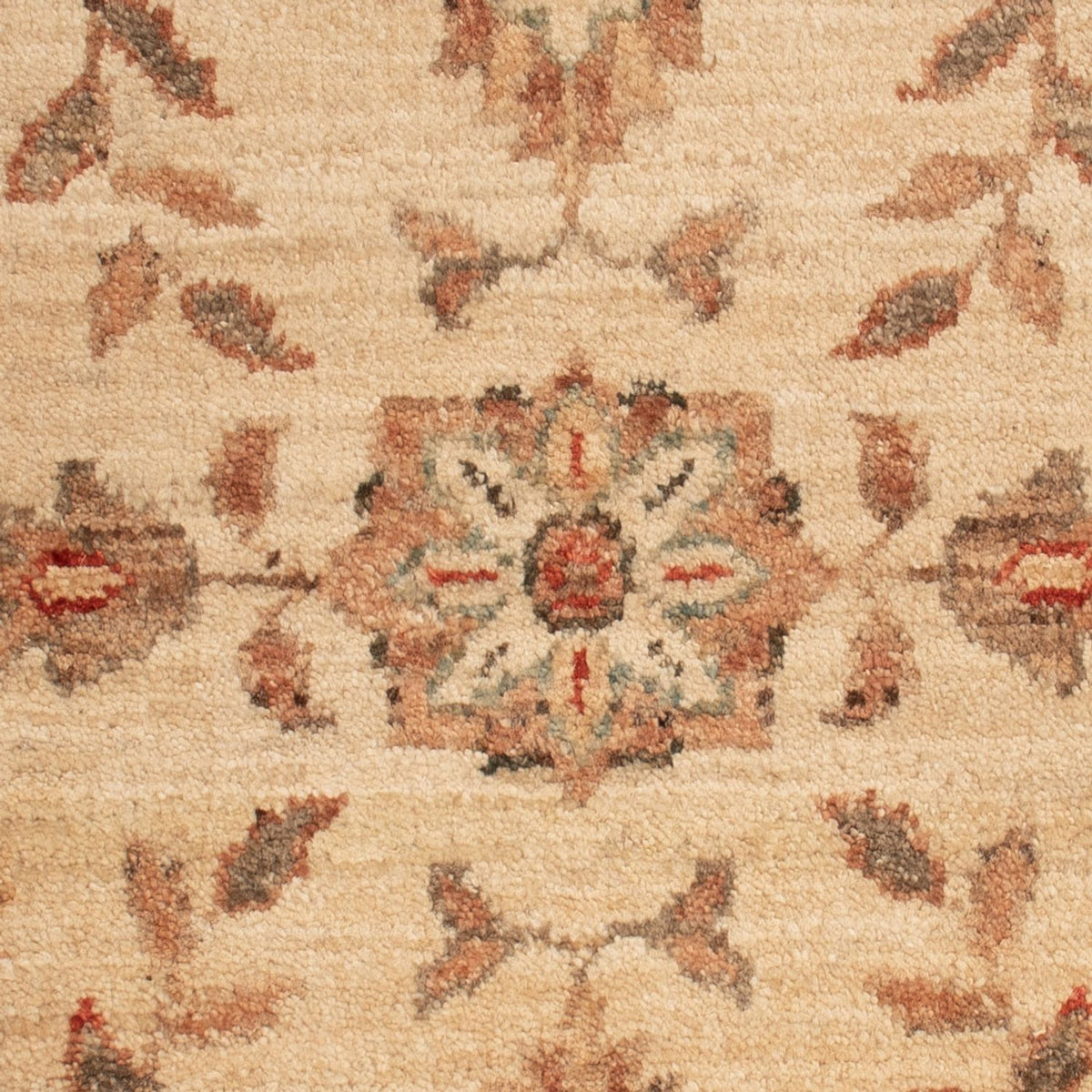 Ziegler tapijt - 70 x 50 cm - beige