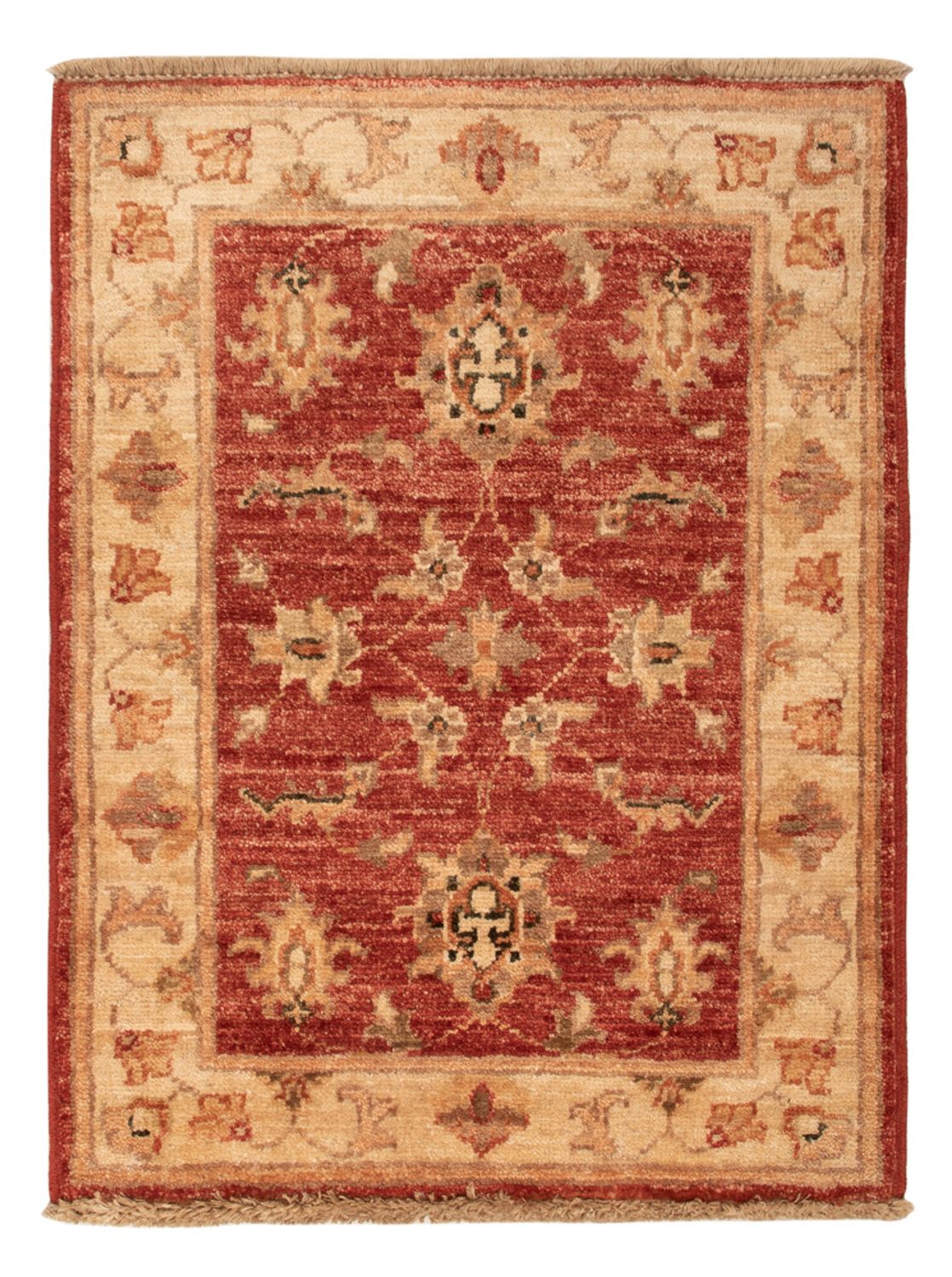 Ziegler tapijt - 67 x 50 cm - rood