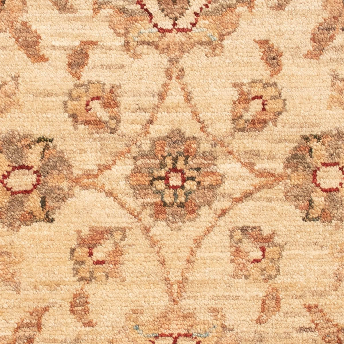 Ziegler tapijt - 72 x 50 cm - beige