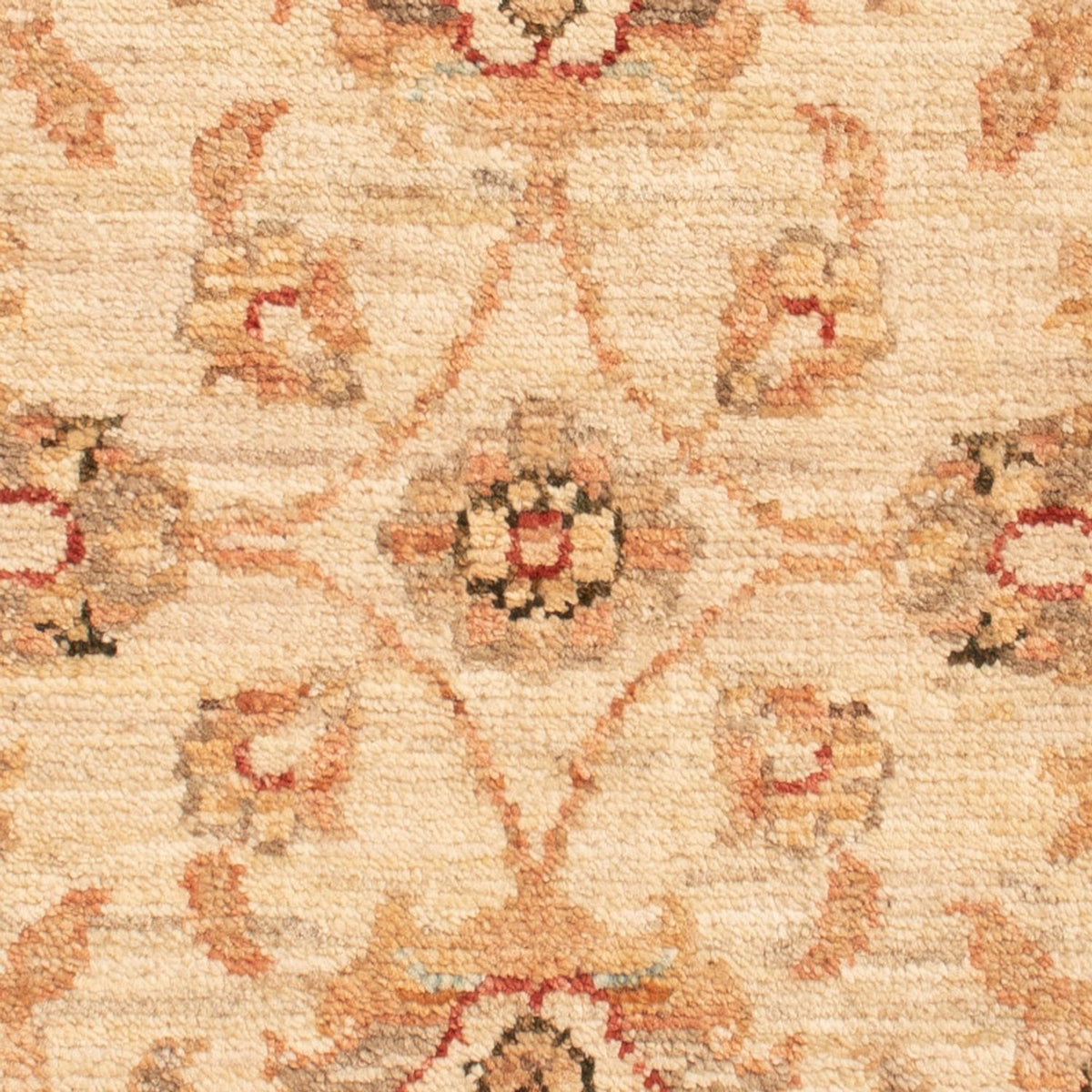 Ziegler tapijt - 71 x 50 cm - beige