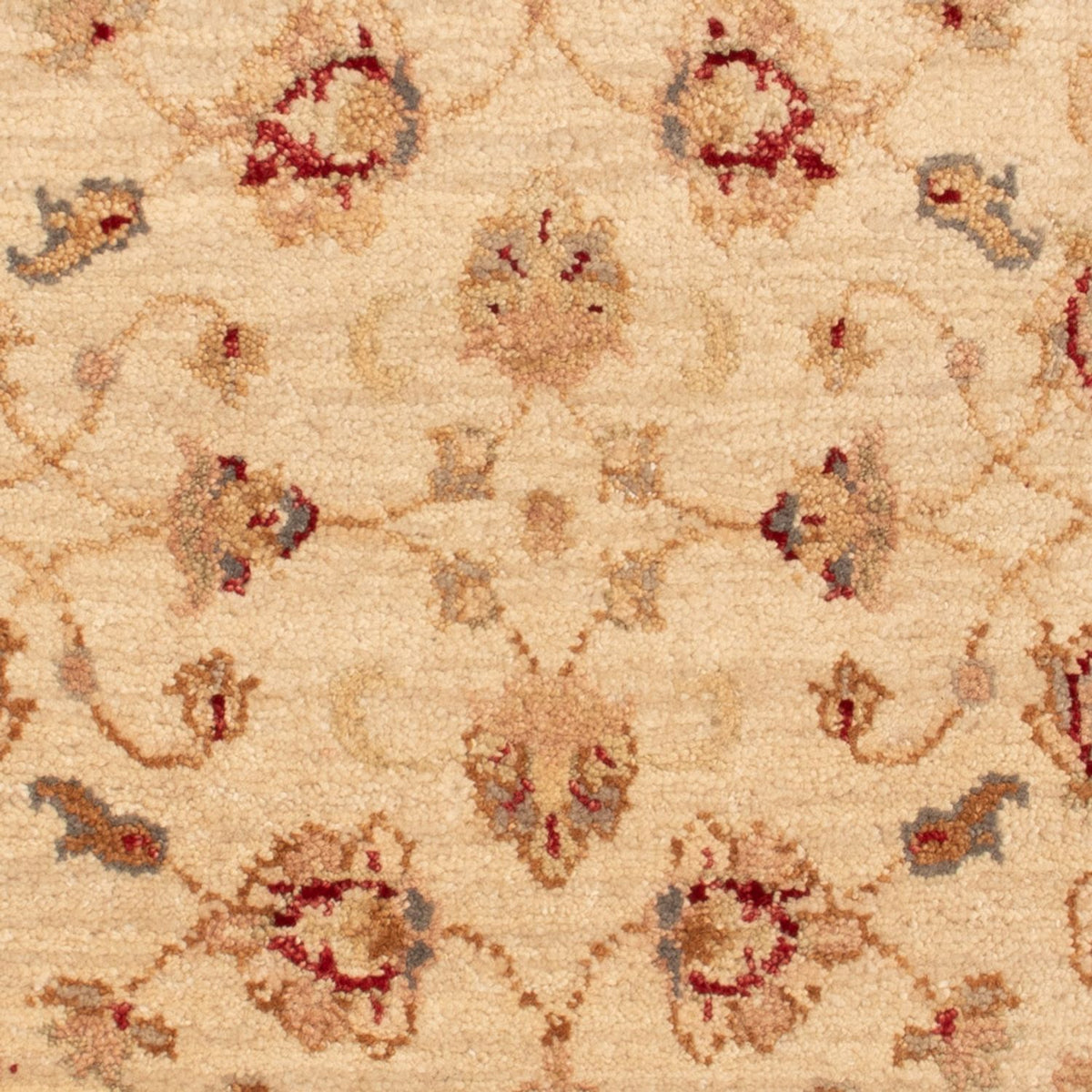 Ziegler tapijt - 90 x 60 cm - beige