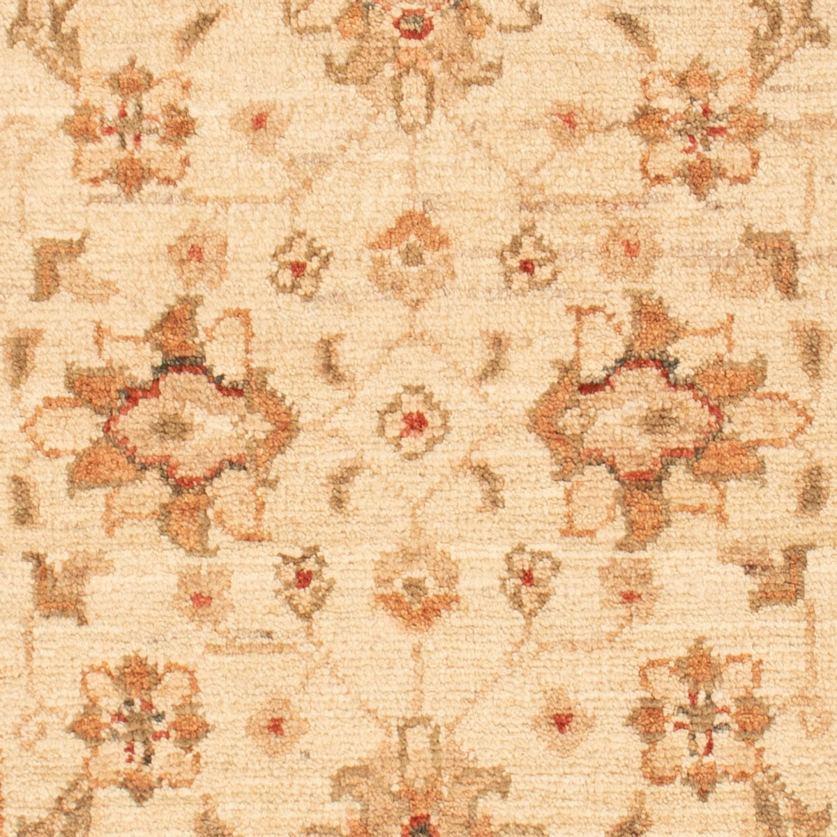 Ziegler tapijt - 90 x 58 cm - beige