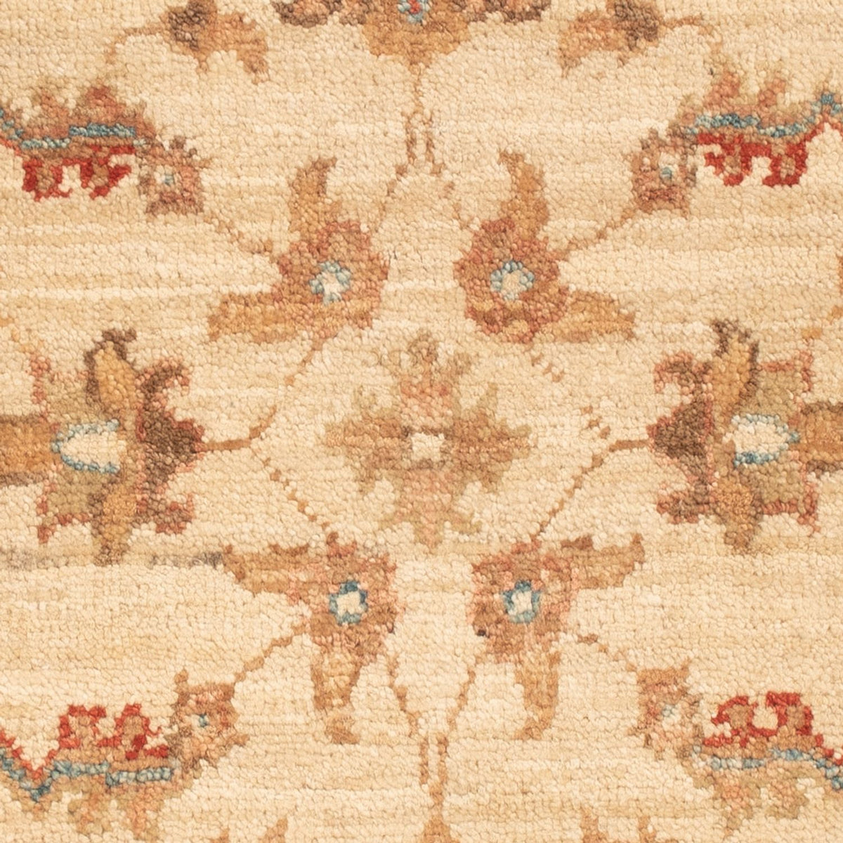 Ziegler tapijt - 66 x 50 cm - beige