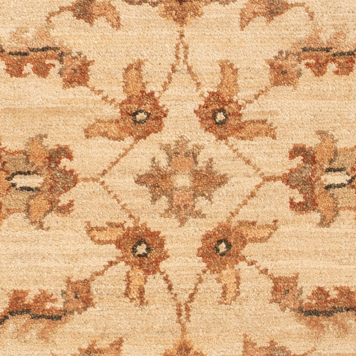 Ziegler tapijt - 70 x 52 cm - beige