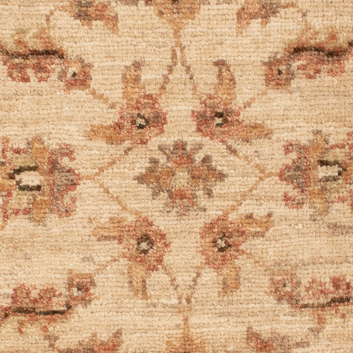 Ziegler tapijt - 70 x 50 cm - beige