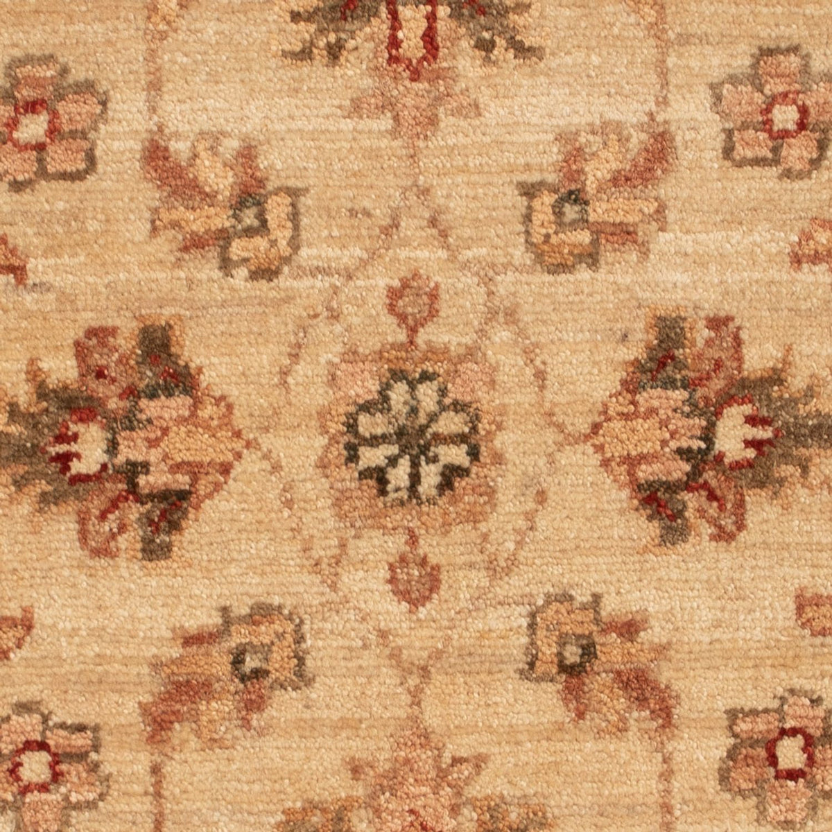 Ziegler tapijt - 70 x 50 cm - beige