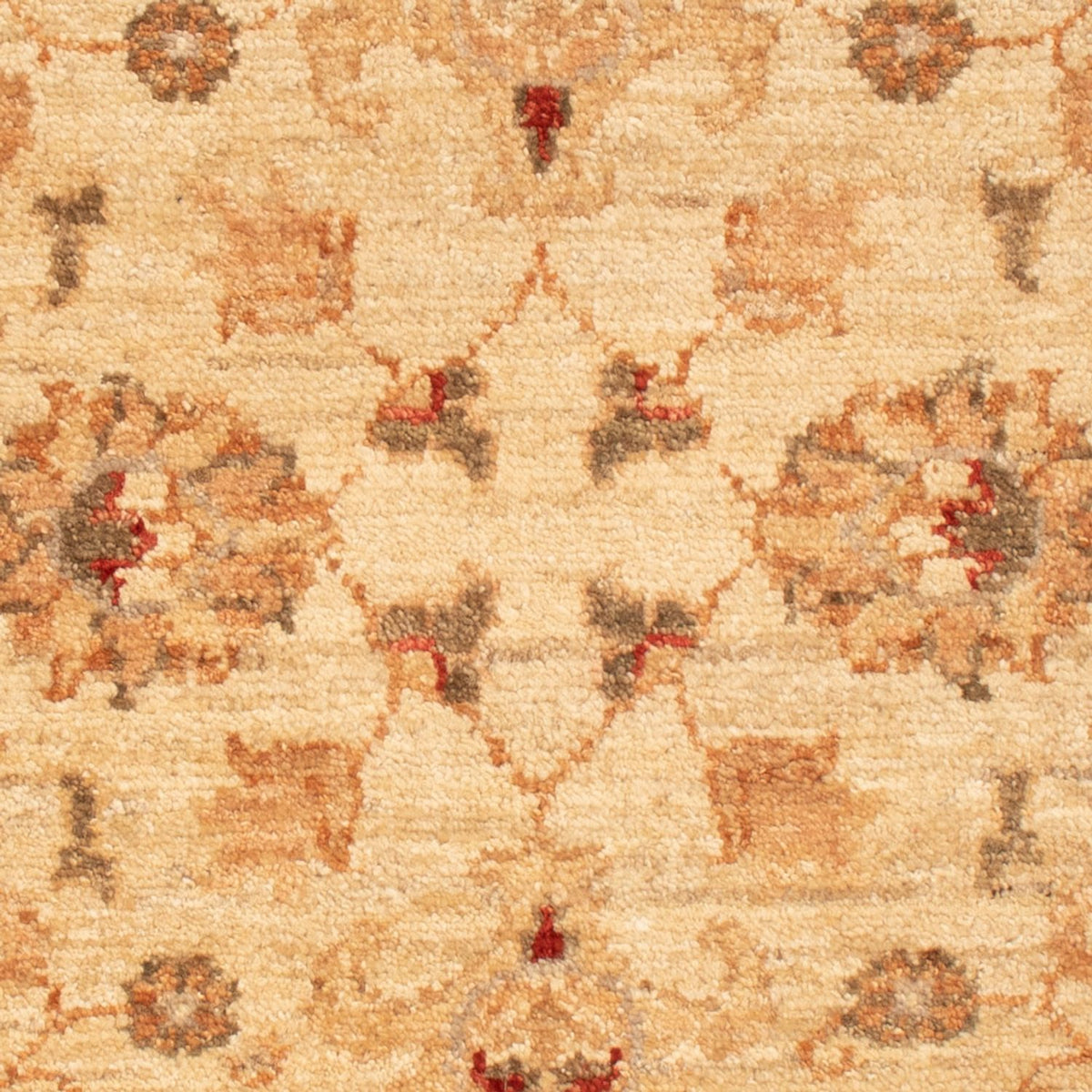 Ziegler tapijt - 90 x 61 cm - beige