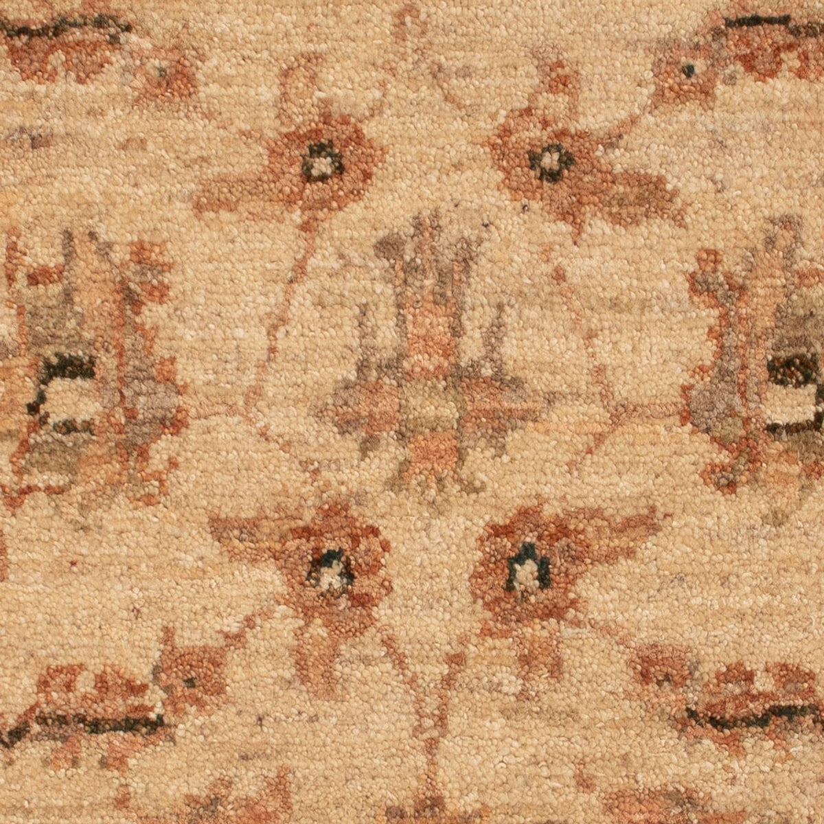 Ziegler tapijt - 73 x 53 cm - beige