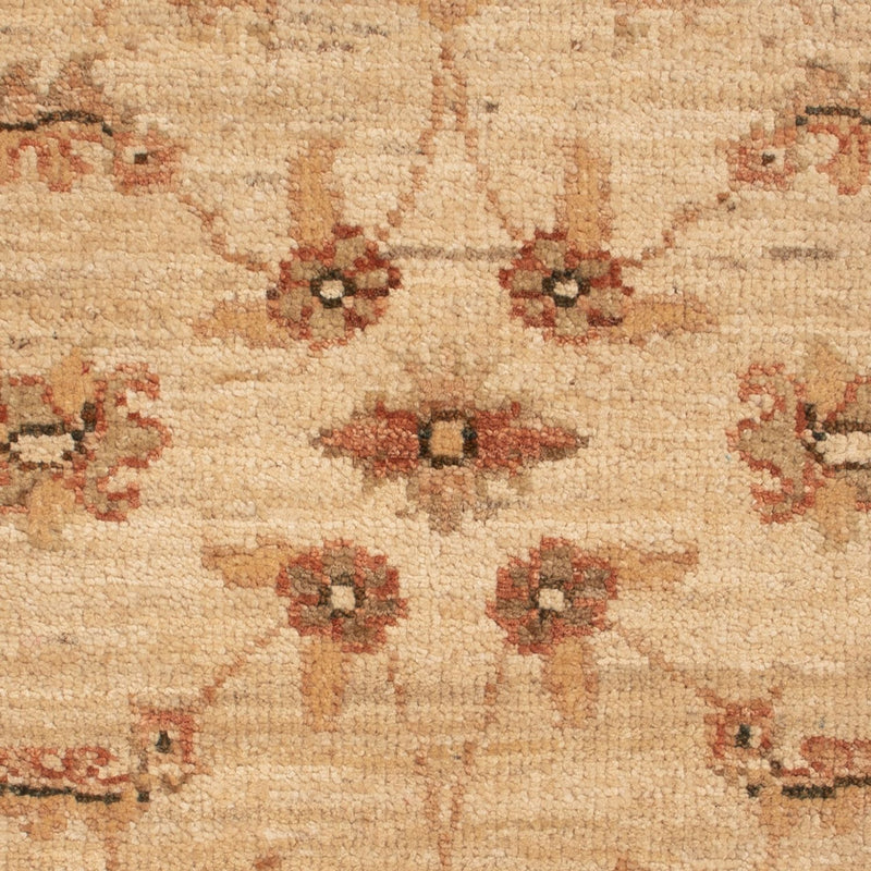 Ziegler tapijt - 78 x 58 cm - beige