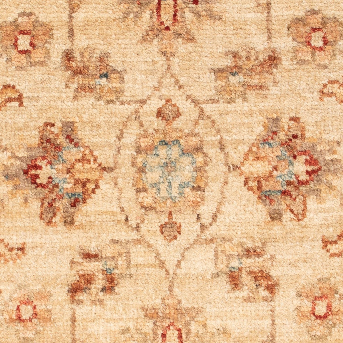Ziegler tapijt - 70 x 50 cm - beige