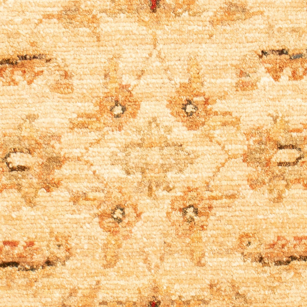 Ziegler tapijt - 70 x 50 cm - beige