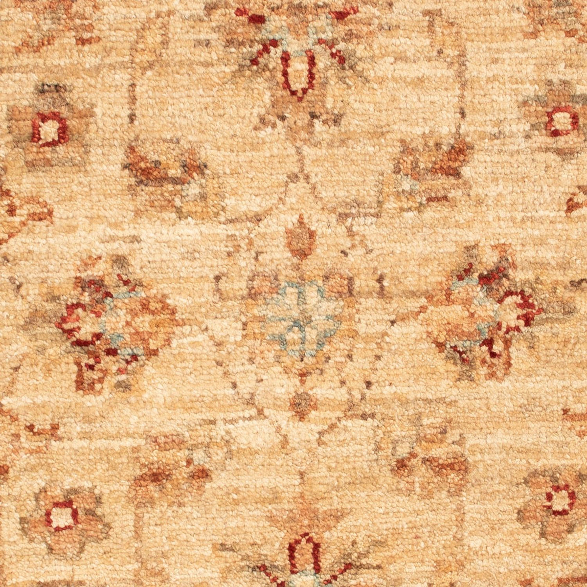 Ziegler tapijt - 68 x 50 cm - beige