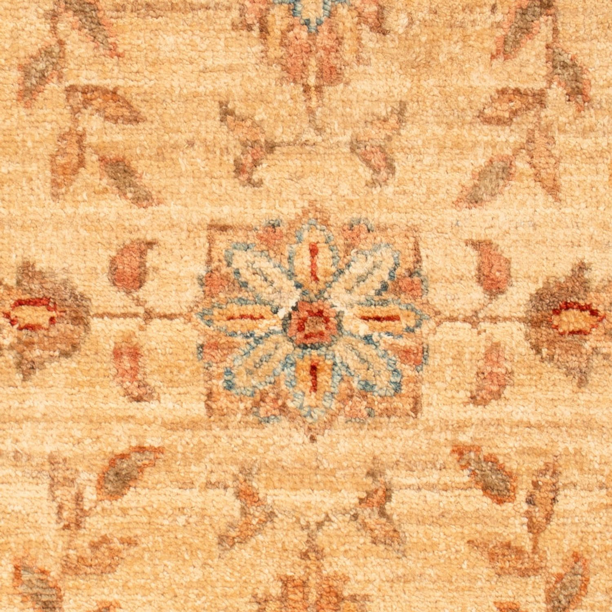 Ziegler tapijt - 70 x 50 cm - beige