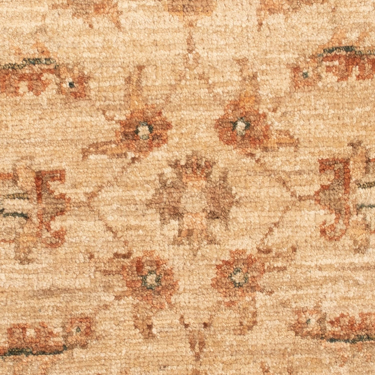 Ziegler Teppich - 66 x 51 cm - beige
