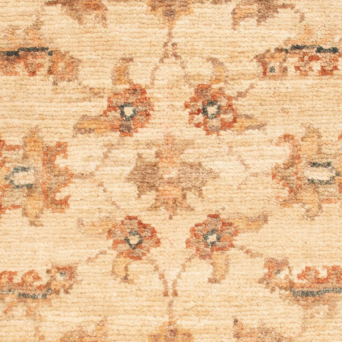 Ziegler tapijt - 67 x 50 cm - beige