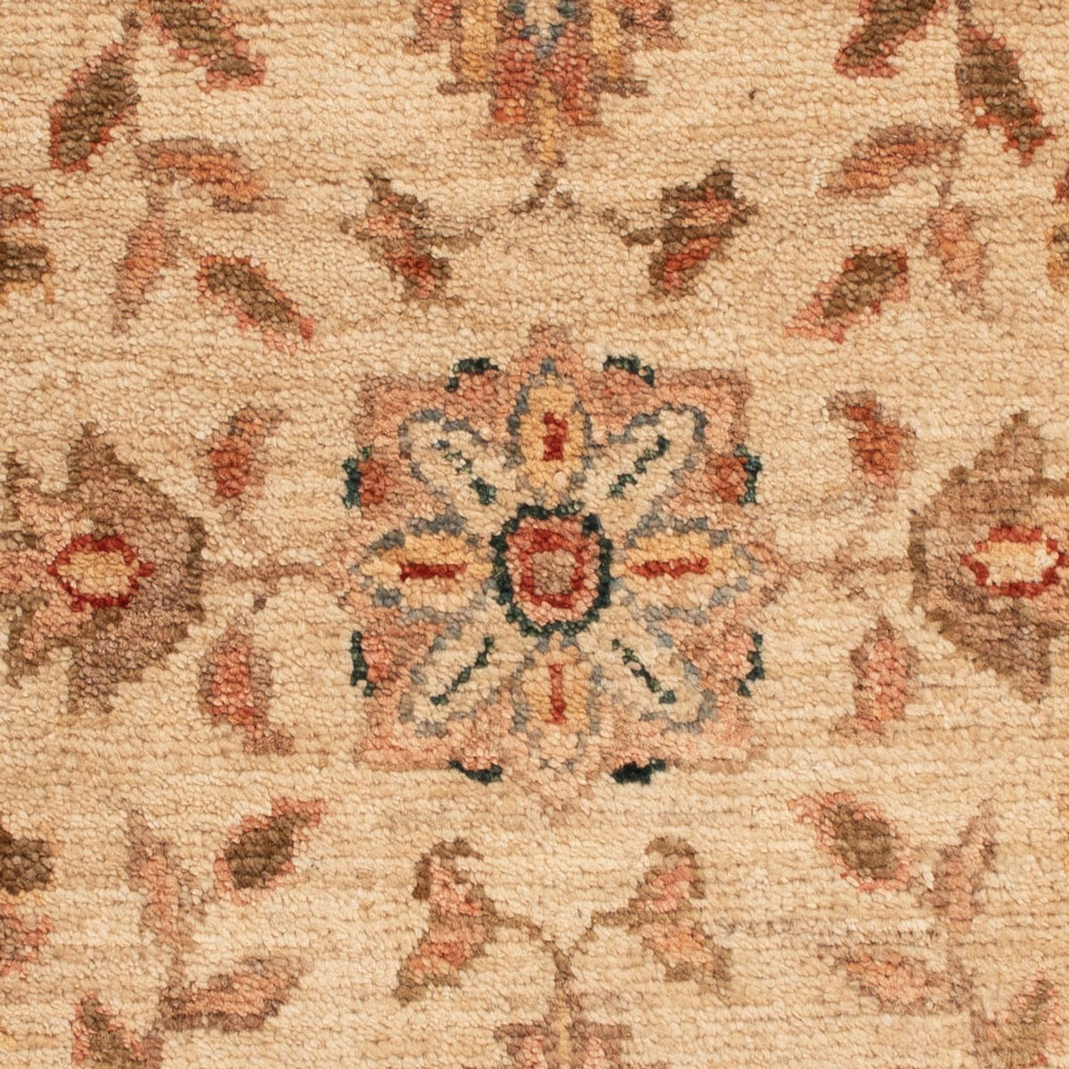 Ziegler tapijt - 71 x 50 cm - beige