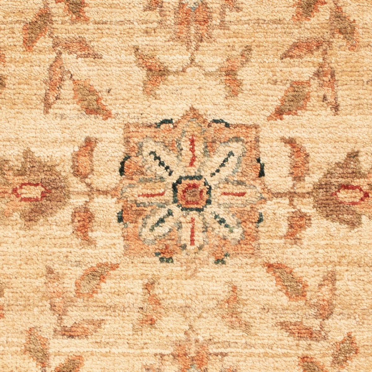 Ziegler tapijt - 69 x 50 cm - beige