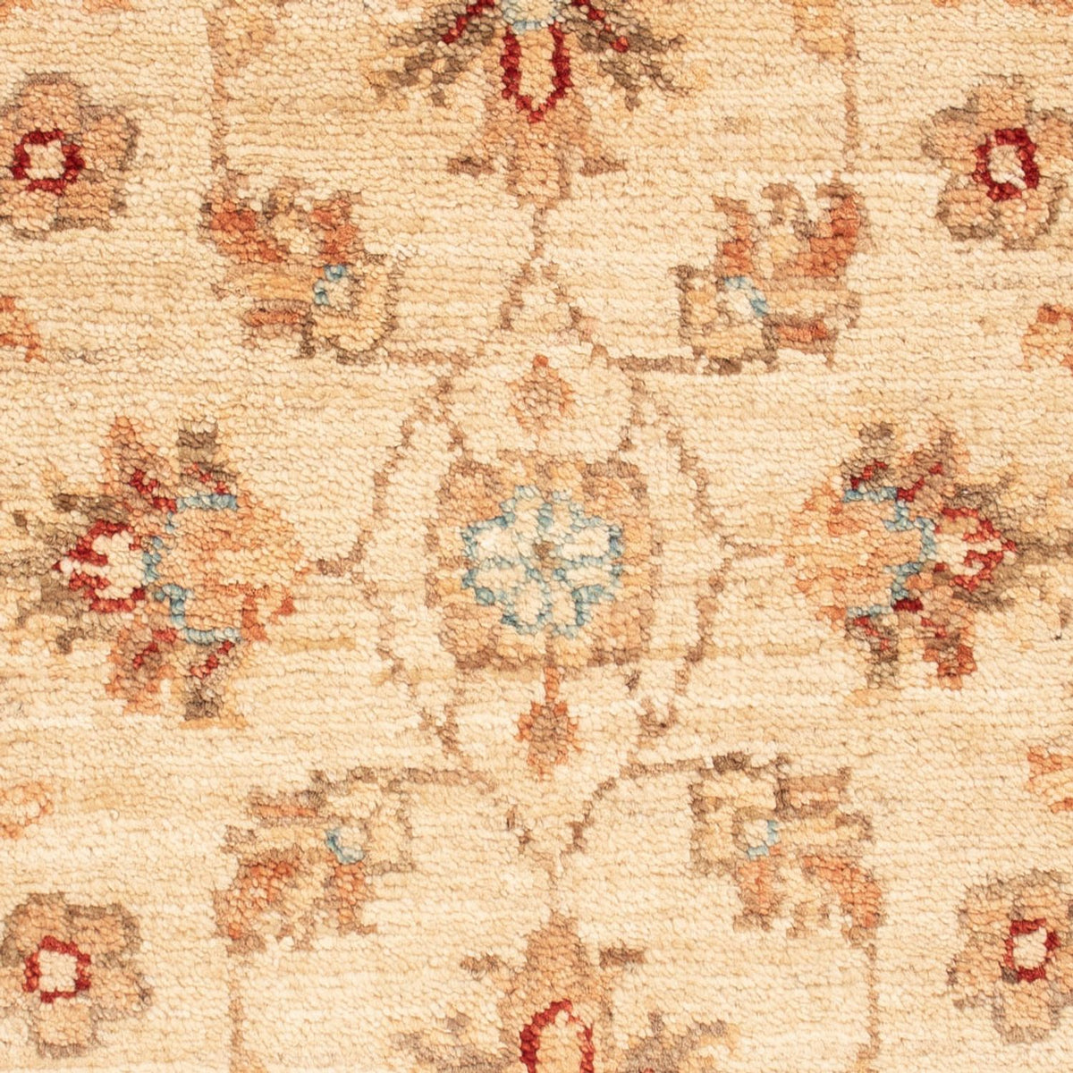 Ziegler tapijt - 68 x 50 cm - beige
