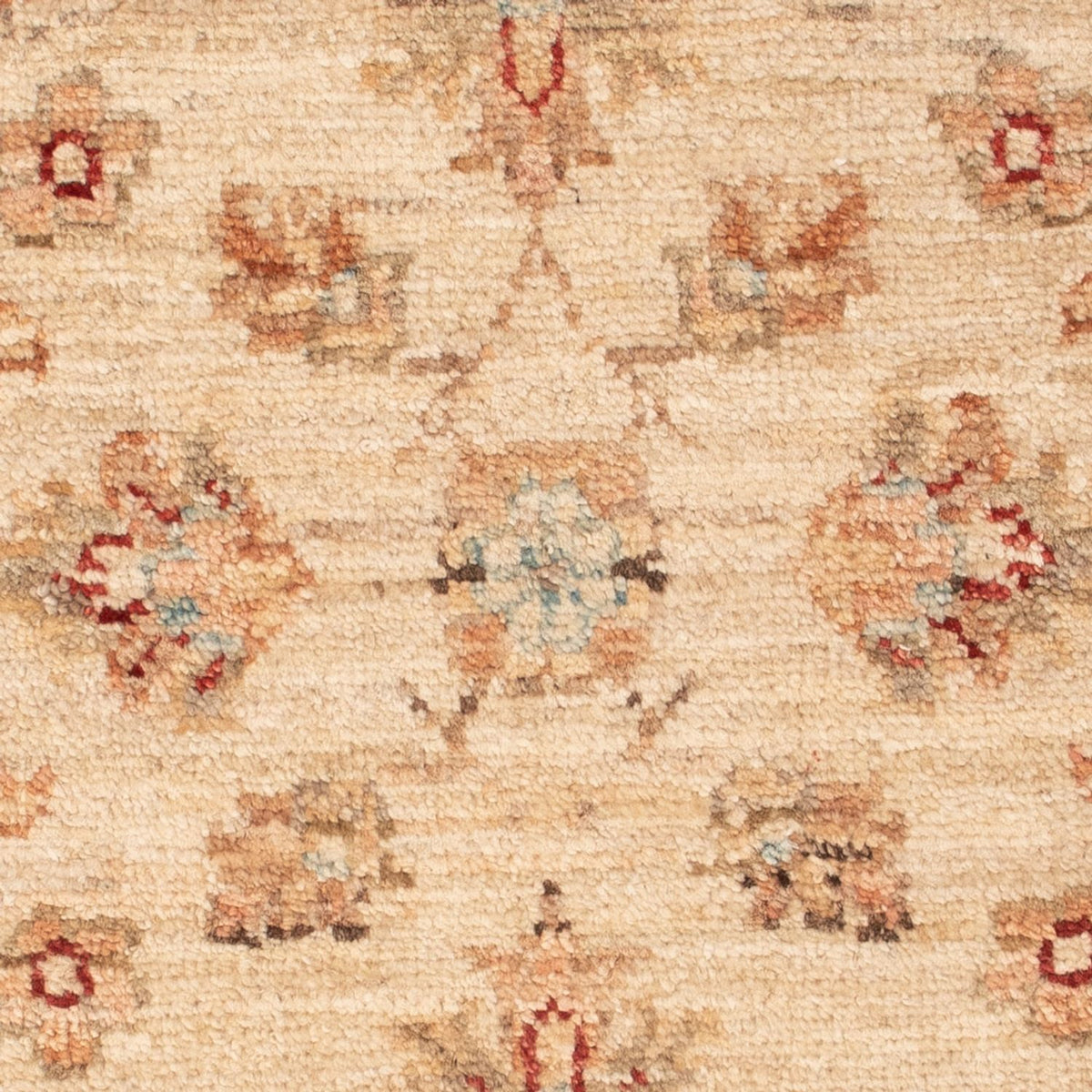 Ziegler tapijt - 69 x 50 cm - beige