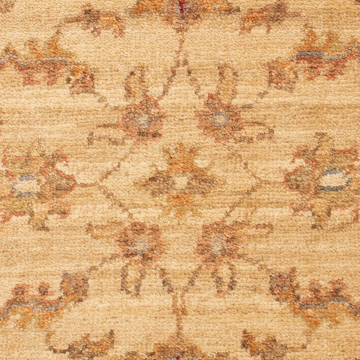 Ziegler tapijt - 67 x 51 cm - beige