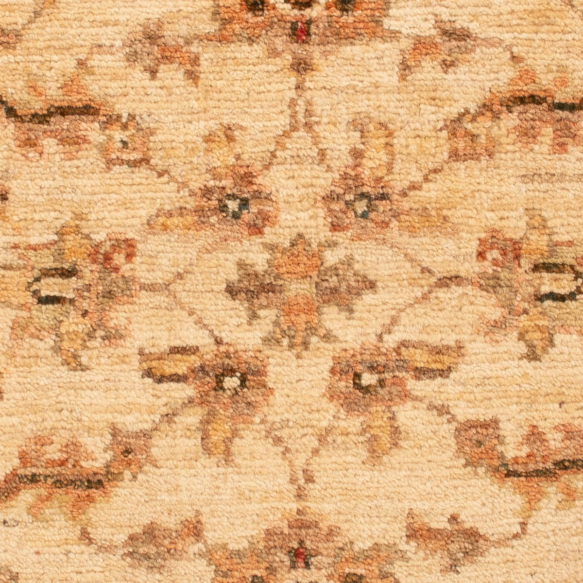 Ziegler tapijt - 65 x 50 cm - beige