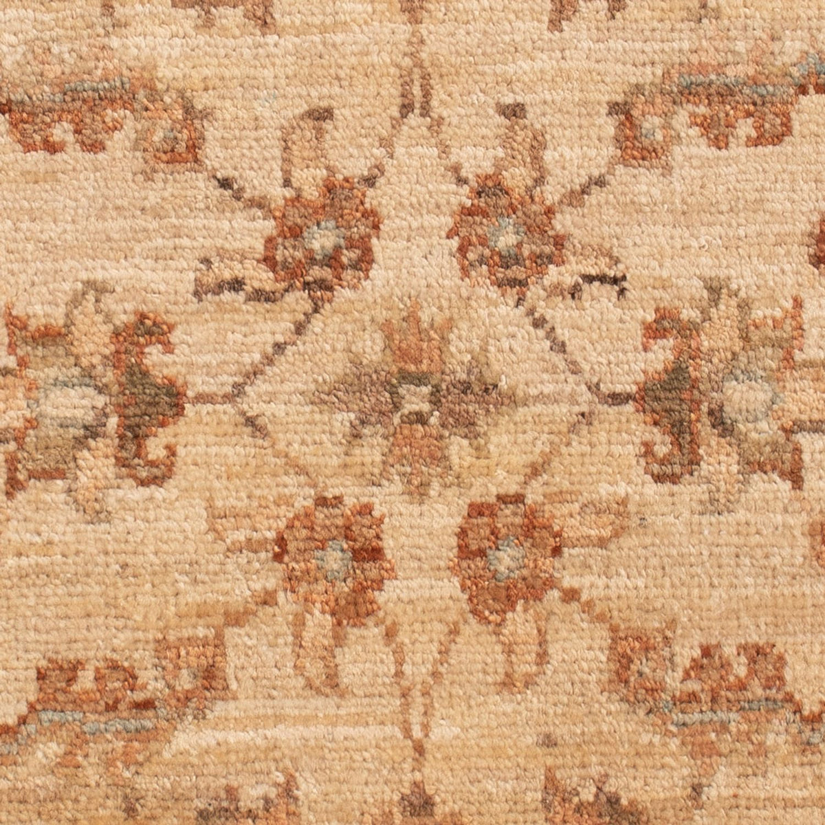 Ziegler tapijt - 70 x 50 cm - beige