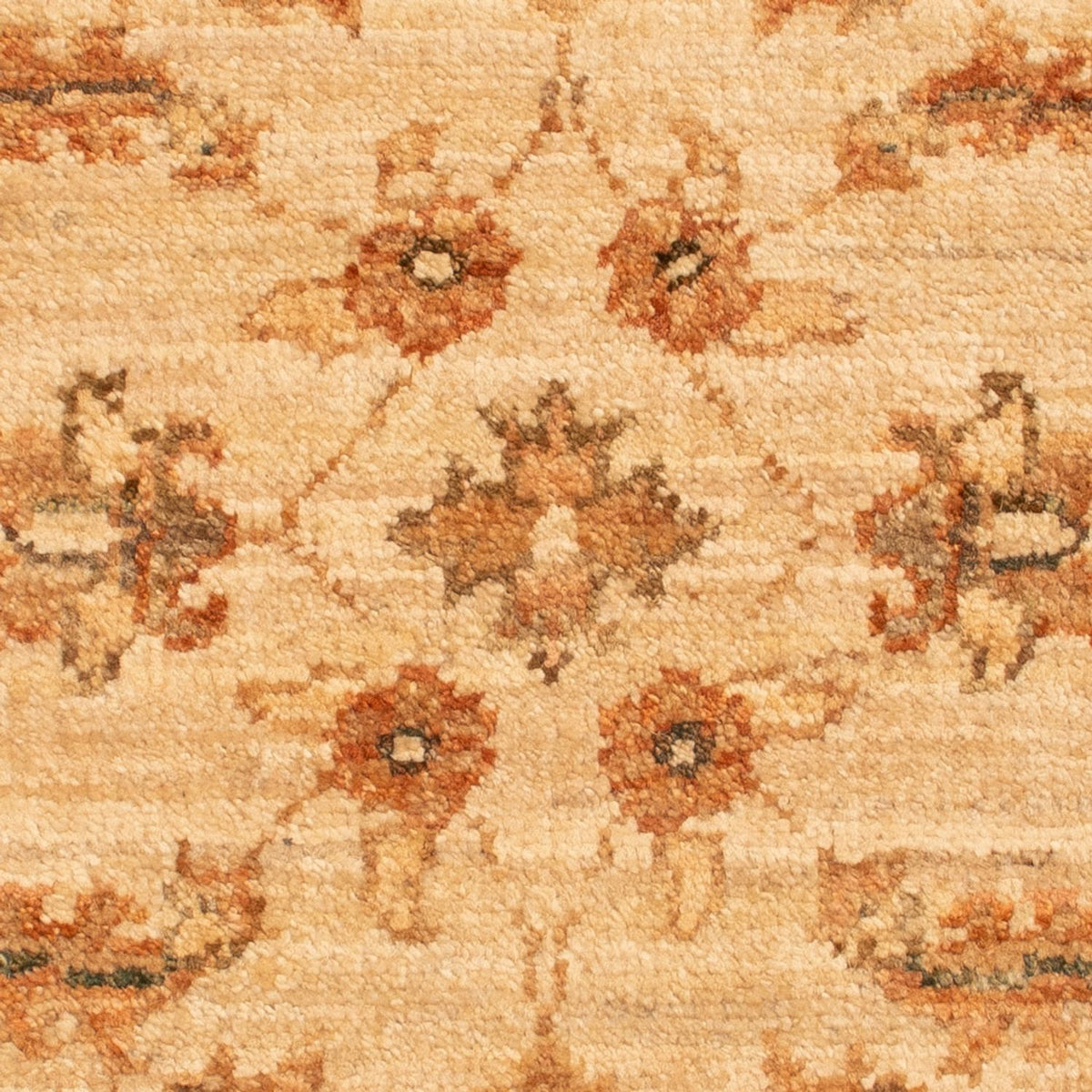 Ziegler tapijt - 68 x 51 cm - beige