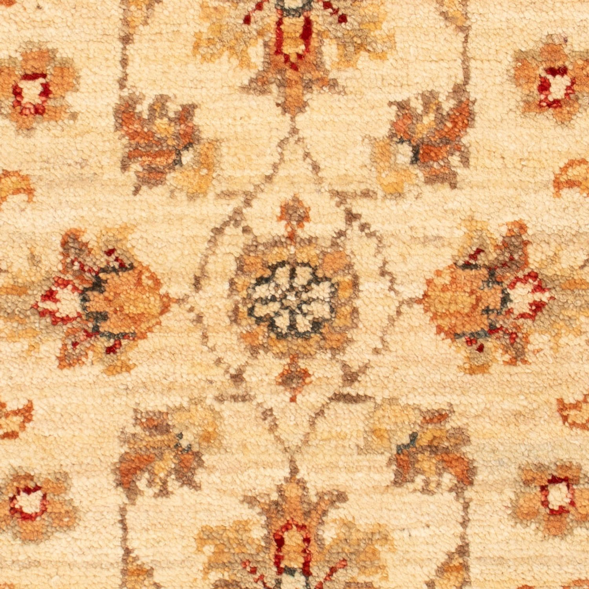 Ziegler tapijt - 74 x 50 cm - beige