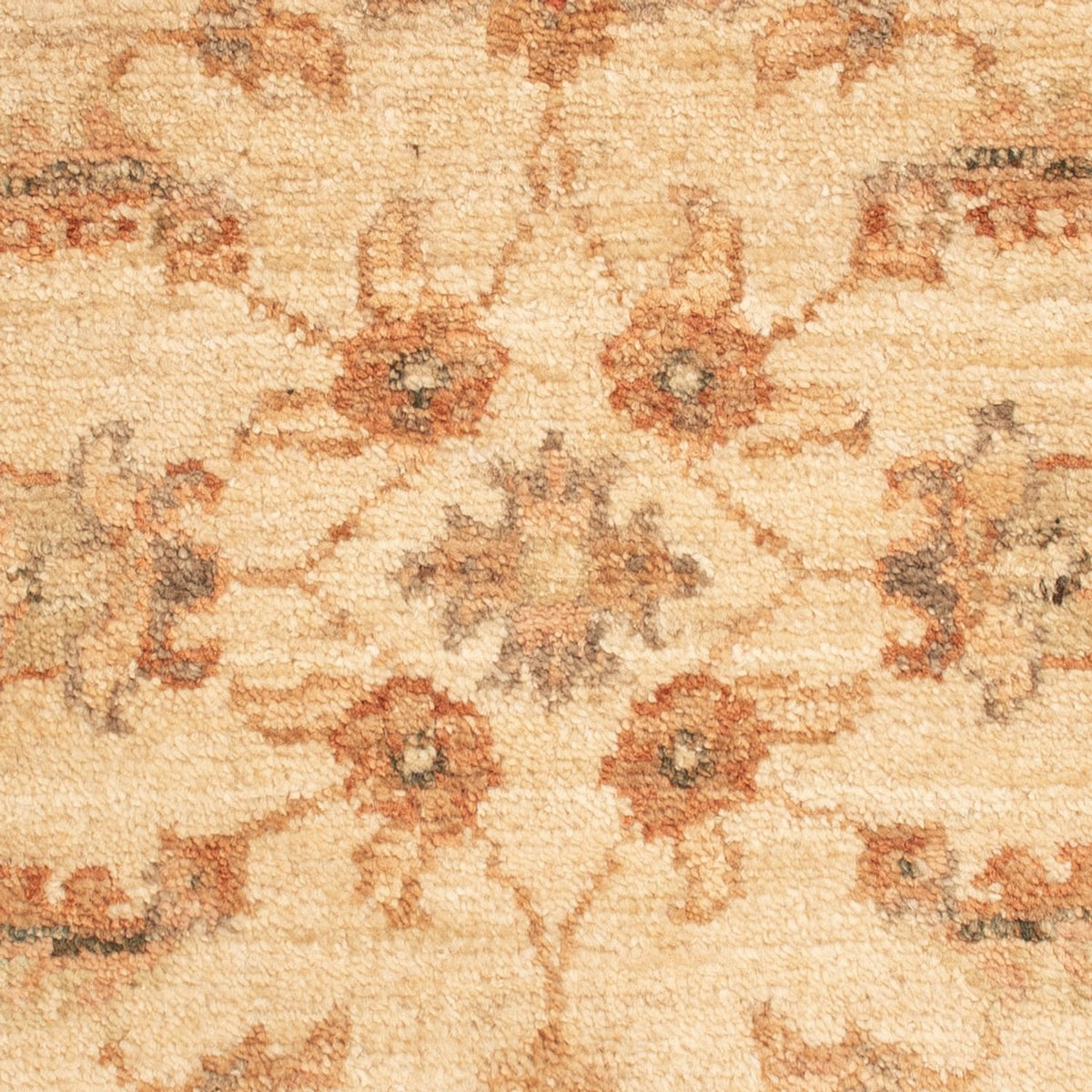 Ziegler tapijt - 65 x 50 cm - beige