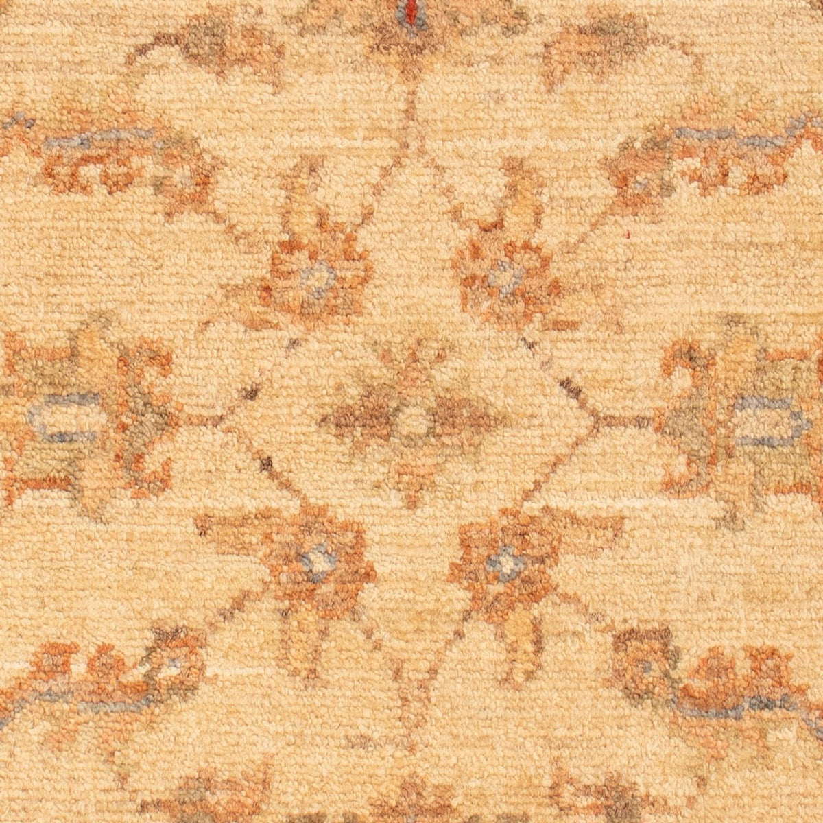 Ziegler tapijt - 68 x 50 cm - beige