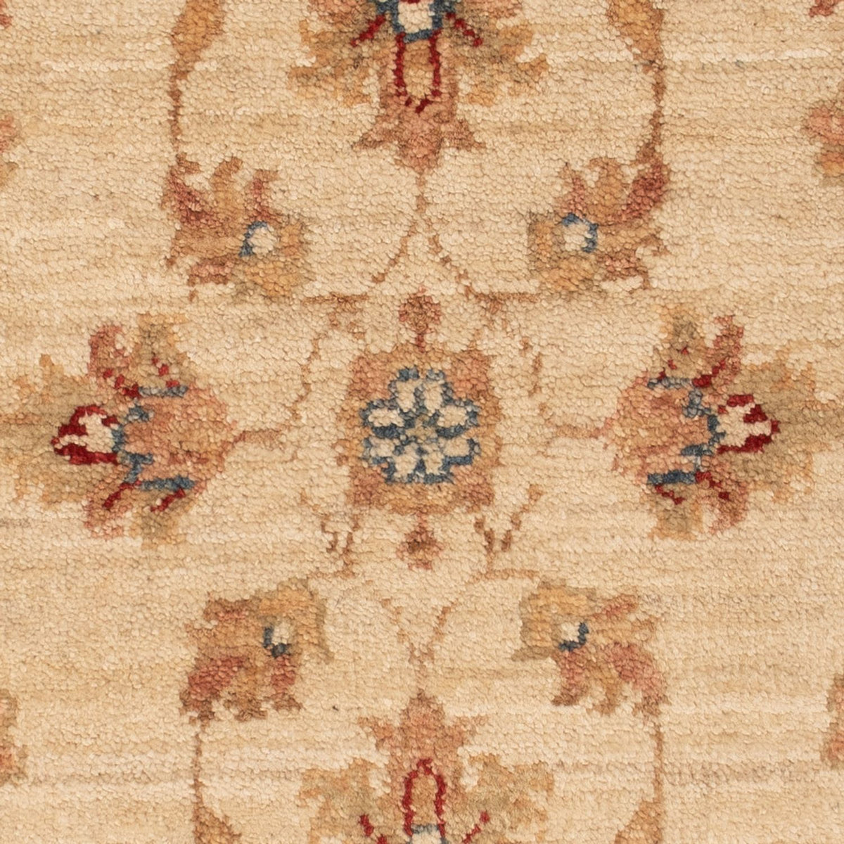 Ziegler tapijt - 67 x 50 cm - beige