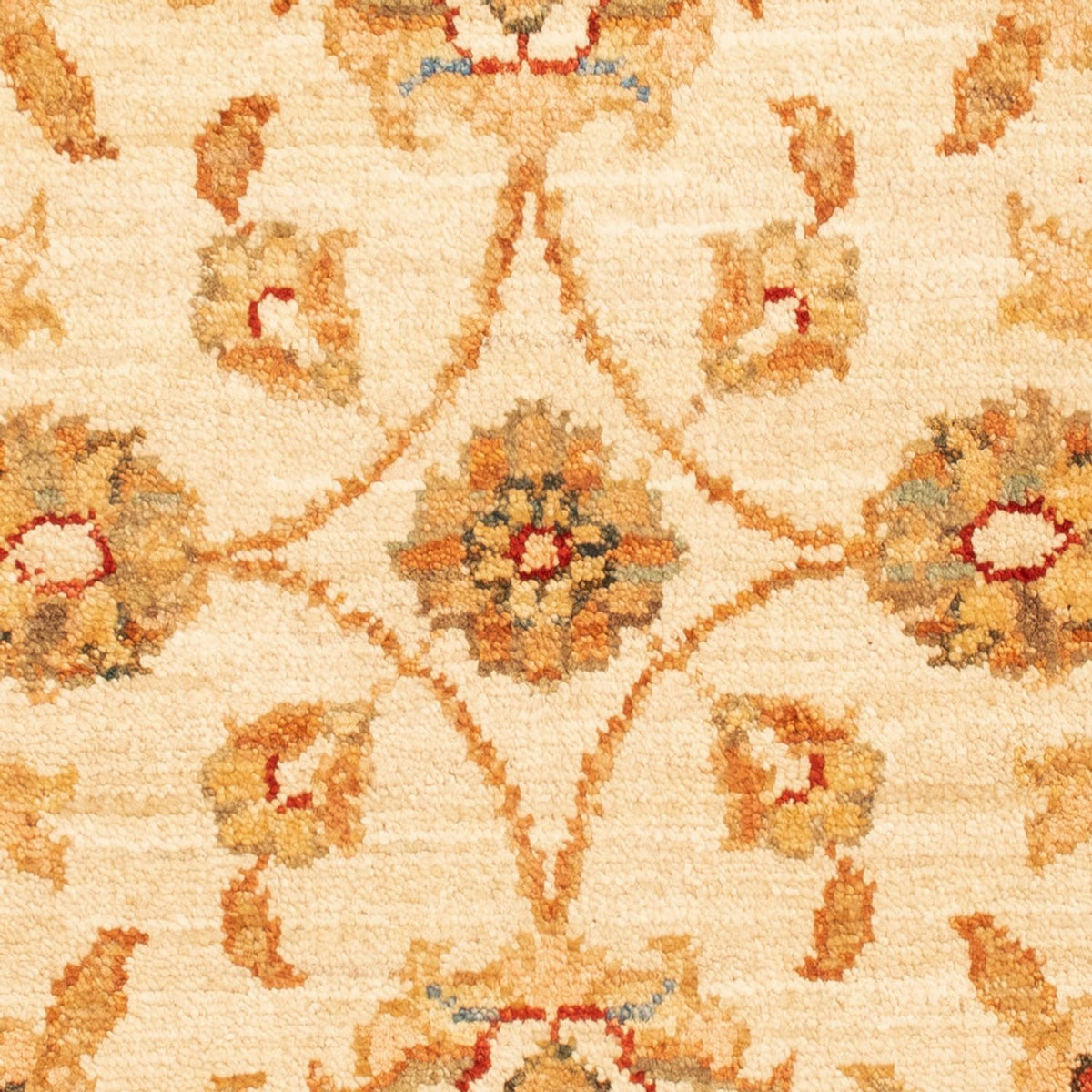 Ziegler tapijt - 70 x 50 cm - beige