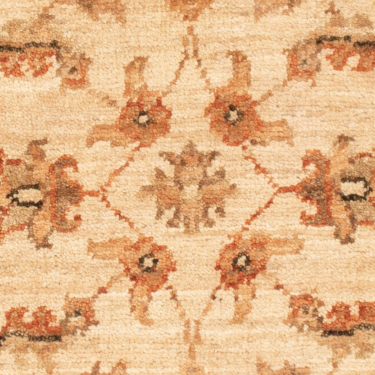 Ziegler tapijt - 71 x 50 cm - beige