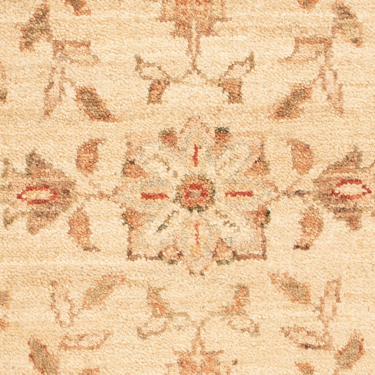 Ziegler tapijt - 70 x 50 cm - beige