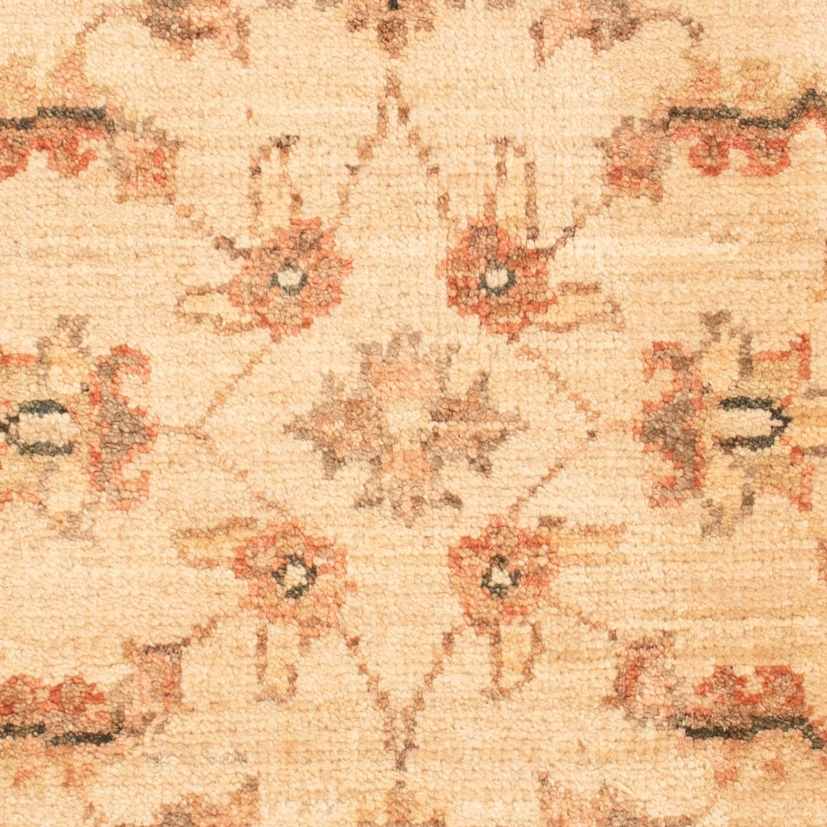 Ziegler tapijt - 70 x 50 cm - beige