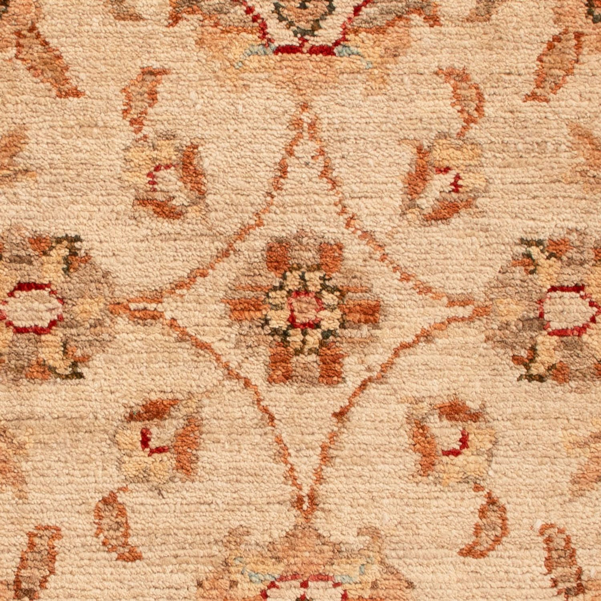 Ziegler tapijt - 72 x 50 cm - beige