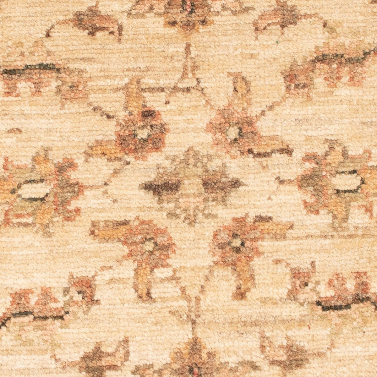 Ziegler tapijt - 71 x 49 cm - beige