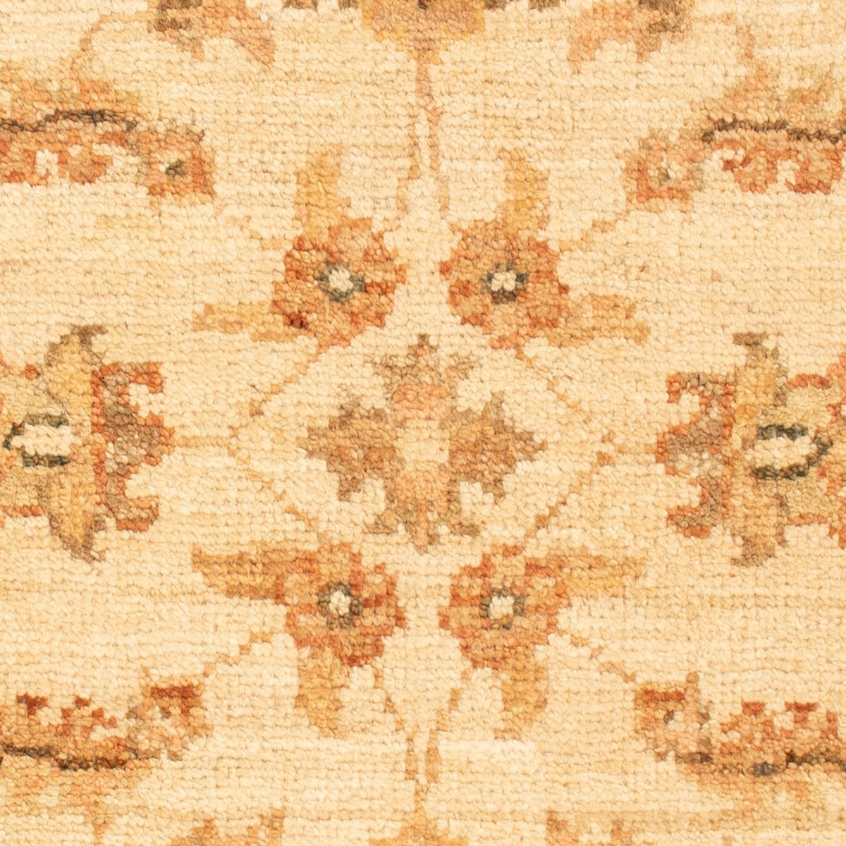 Ziegler tapijt - 66 x 51 cm - beige