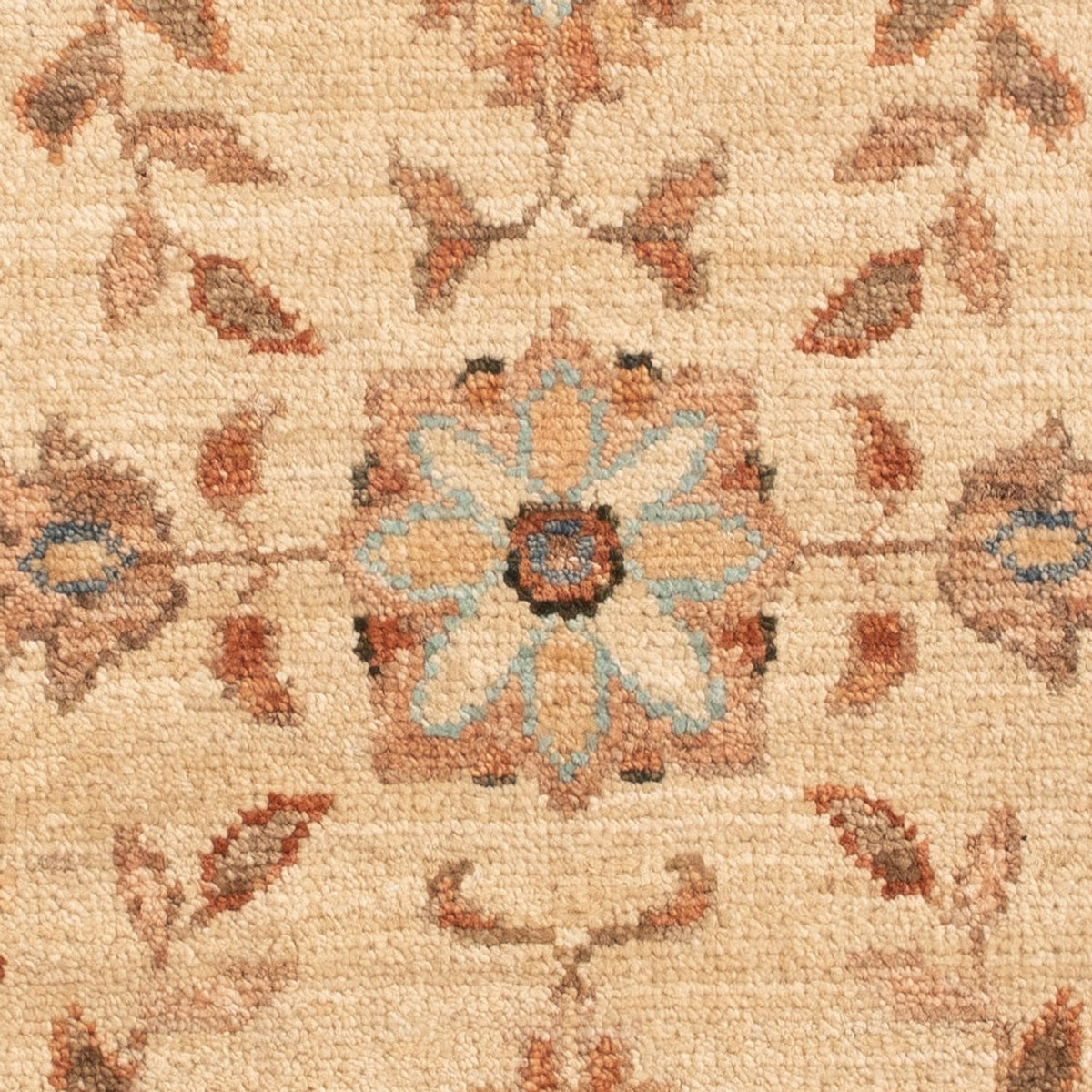 Ziegler tapijt - 70 x 51 cm - beige