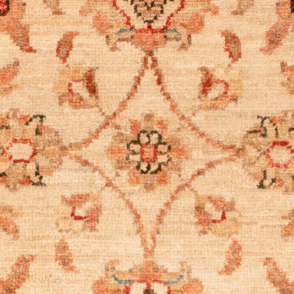 Ziegler tapijt - 70 x 53 cm - beige